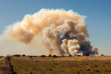 Grassland fire in La Pampa Province, Patagonia, Argentina.