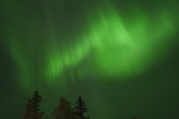 カナダ イエローナイフ オーロラビレッジからのオーロラ風景