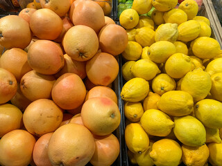 Fresh Oranges and Grapefruits in Market Display
