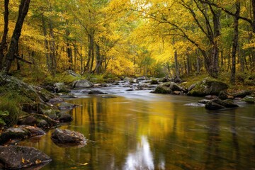 Obraz premium Autumnal Forest Scene River Flowing Through Golden Foliage