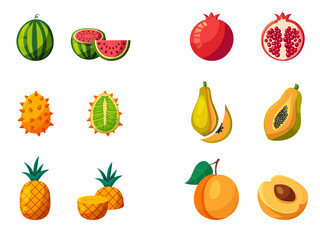 Vector fruit illustration set with watermelon, pomegranate, horned melon (kiwano), pineapple, papaya, pear, and apricot shown as whole and sliced fruits