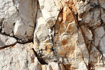 Detailed natural rock texture with fine fractures and warm earthy tones, ideal for geology visuals, educational resources, mineral collections, or as a natural design background.