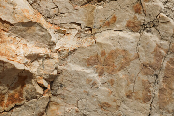 Detailed stone texture with organic fractures and natural earthy colors, perfect for geological illustrations, background use, or nature-themed creative projects.