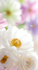 Obraz premium Close up of white flowers with yellow centers in a soft pastel background image view 90