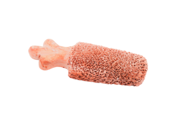 Close up of human bone showing osteoporosis or spongy bone structure.