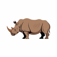 Fototapeta premium Rhinoceros standing in side view