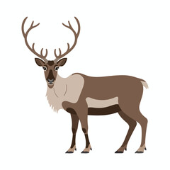 Reindeer with large antlers stands tall proudly