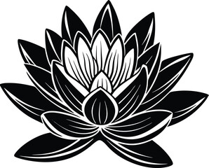 Vibrant abstract splash of radiant colors creating dynamic fluid art for modern designs transparent background