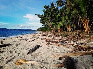 beach conditions with lots of dead wood and plastic waste 