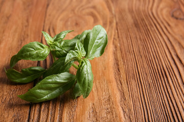 Fresh green basil leaves on wooden background, closeup