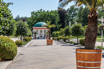 Summer walk through the spa town of Frantiskovy Lazne in the Czech Republic