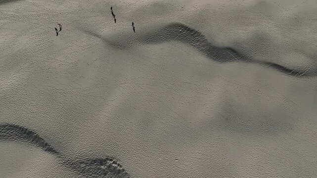 Rabjerg Mile sand dunes landscape near Skagen, Denmark aerial drone footage landscape 