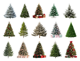 PNG Variety of decorated Christmas trees, element set on transparent background