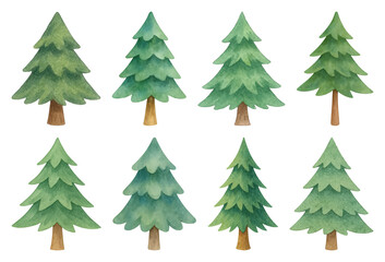 PNG Watercolor evergreen tree illustrations, element set on transparent background