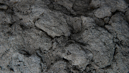 Close-up of cracked dry soil surface