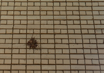 Brick wall with paint splatter texture