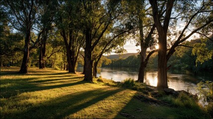 Obraz premium Serene river view surrounded by lush trees, casting beautiful shadows during golden hour, perfect for nature lovers.