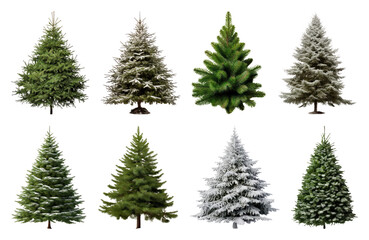 PNG Various snowy evergreen trees collection, element set on transparent background