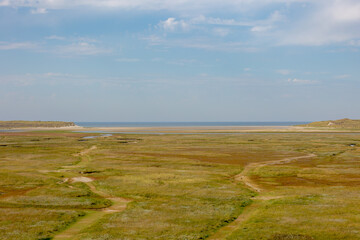 Nature reserve on seashore, The Slufter on Texel is a unique salt marsh area on the North Sea coast in open connection with the sea via a breach in the dunes, Wadden island, Noord Holland, Netherlands