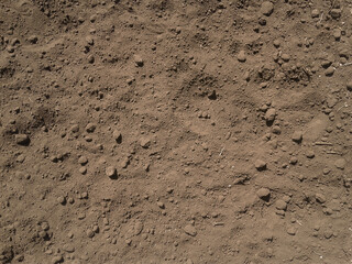 Texture fertile land. Nature ground background. Top view.