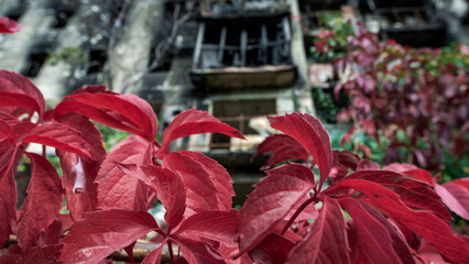 ruined street and destroyed houses the city Kiev war in Ukraine