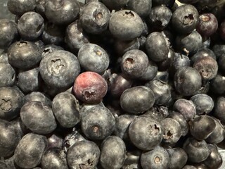 blueberries in a bowl