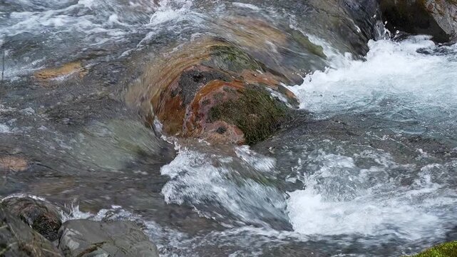 Slow motion flow of mountain river clear cold water slowed down by four times, skirting large underwater cobblestone, top of which protrude above water and are thickets of green moss. Natural footage