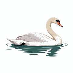 Fototapeta premium Graceful swan swimming in water