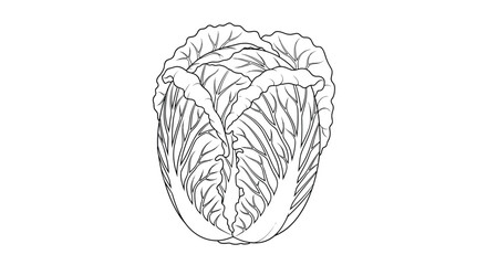 Fototapeta premium A delicious and versatile vegetable for healthy eating and culinary adventures