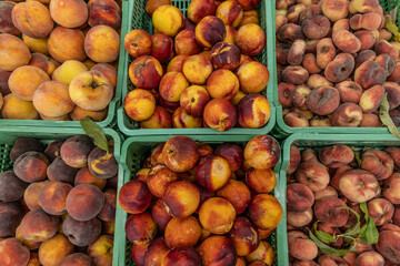 fresh summer fruits and vegetables in the supermarket on the shelf.