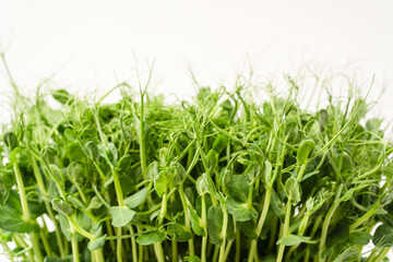 Fresh pea microgreen sprouts isolated on a white background.