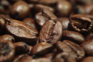 coffee beans background