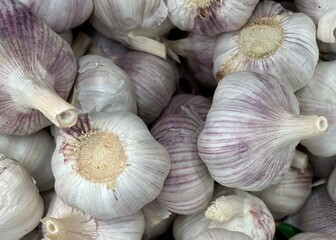 garlic on market