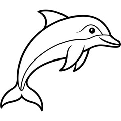 Dolphin Line Art Illustration Vector