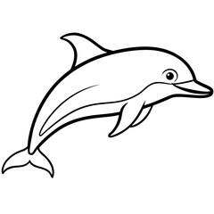 Dolphin Line Art Illustration Vector