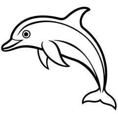 Dolphin Line Art Illustration Vector