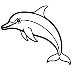 Dolphin Line Art Illustration Vector