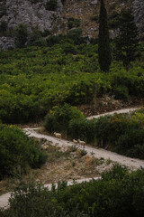 mountain road
