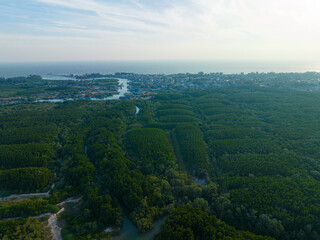 Fototapeta premium Aerial view tropical green foliage tropical forest sea bay