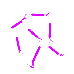 purple bacteria shape vector
