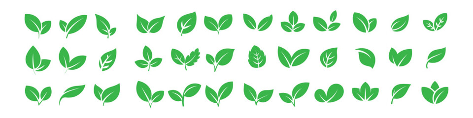 green leaf icon set vector on white background. , plant, nature, ecology, environment, organic, natural, botany, botanical, flora, foliage, branch, stem, symbol.