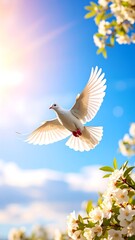White dove soaring, spring blossoms
