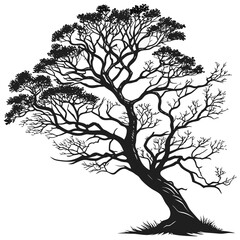 A detailed black and white silhouette of a tree with many branches and a slightly leaning trunk design created with generated ai