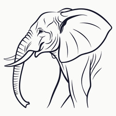 Elephant Outline Drawing