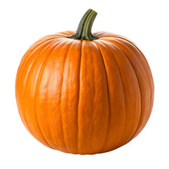 Obraz premium A single orange pumpkin isolated on a white background isolated on white background