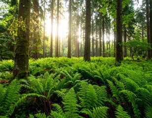 Lush forest floor with sunlight filtering through trees (1)
