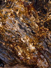 Close-up of a rock surface with intricate patterns and colors, showcasing natural textures and geological formations.