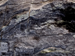 Close-up of a dark, textured rock surface with veins and mineral deposits.