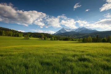 Scenic Meadow Landscape with Mountains and Clouds.