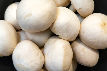 close-up photo of cleaned champignon mushrooms
